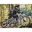 Barncykel Early Rider Hellion X24 Raw