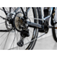 Trek Elcykel Dam Allant+ 6 Stagger 800wh Galactic Grey