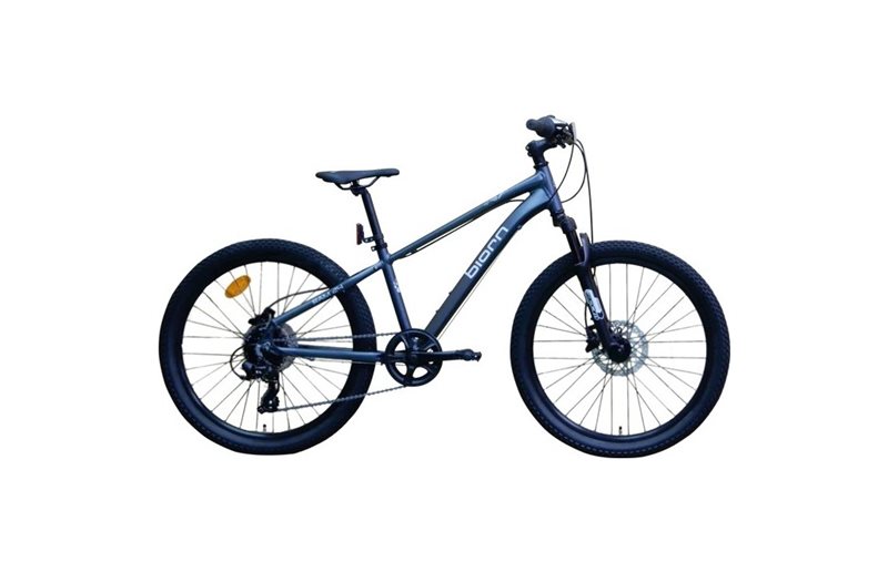 Børnecykel Biorn RAM T-20
