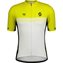 Sulphur Yellow/White