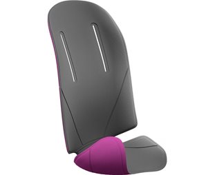 Thule Ridealong Padding