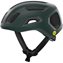 Pargasite Green Matt