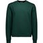 Pargasite Green