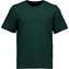 Pargasite Green