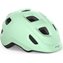 Dusted Green/Matt