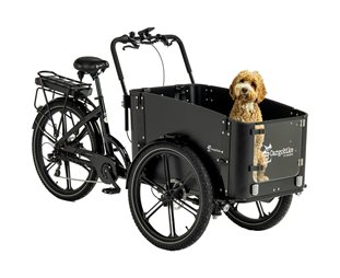 Cargobike Flex Dog Black