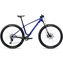 Cobalt Blue/Carbon Raw