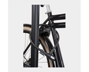 AXA Spirallås Newton 60 cm 12 mm inkl. fäste