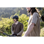 7mesh Vapaa-ajan paita Compound Shirt LS Woodland