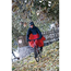 Vaude Regnbukser Valero Poncho