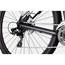 Maastopyörä Cannondale Trail 8 29