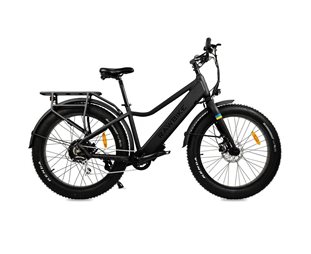 Rawbike Elsykkel Urban Onyx