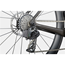 Racer Cannondale SuperSix EVO Crb 1 Raw