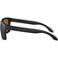 Solglasögon Oakley Holbrook Matte Black / Prizm Tungsten Polarized