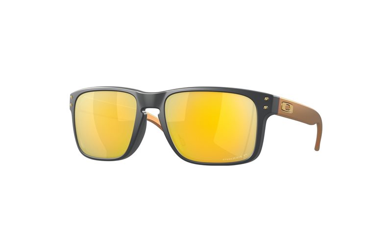 Solglasögon Oakley Holbrook Matte Carbon / Prizm 24K Polarized