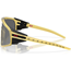 Cykelbriller Oakley Latch Panel Gold Grass / Prizm Black