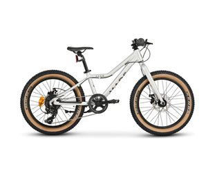 Børnecykel Made Acer 20 Silver