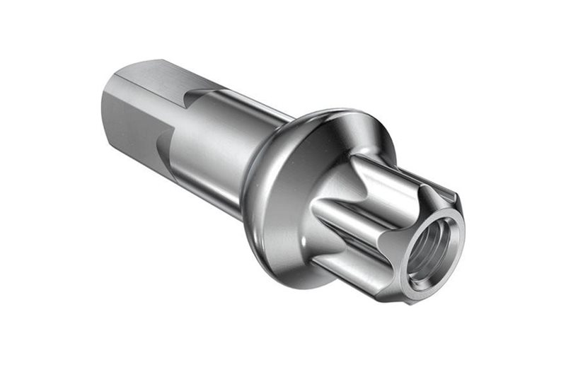Egermøtrikker DT Swiss Nipple DT Squorx Pro Head Prolock 15mm Aluminium 1stk Silver