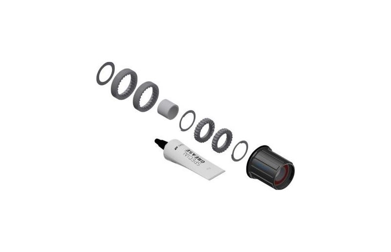 DT Swiss Service Kit Ratchet LN Hybrid Shimano HG