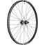 Baghjul DT Swiss F 1900 Classic 21 Rear 29" 6B XD 12X157mm