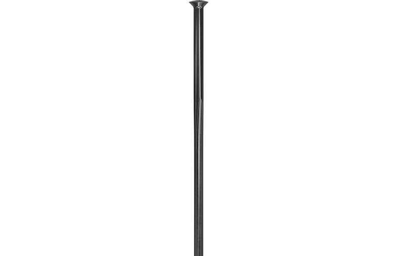 Pinna DT Swiss Revolite Straightpull Bladed Black