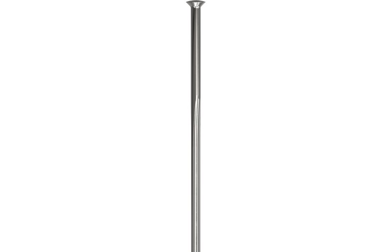 Eger DT Swiss Revolite Straightpull bladed Silver