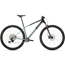 Hardtail MTB Superior XP 6.1 Brushed Teal / Teal