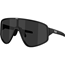 Solglasögon Bliz A004 Matte Black-Smoke