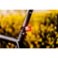 Baklys Lezyne Femto Drive Incl. Batteri