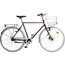 Herrcykel Skeppshult Favorit 7-Vxl Dimbrun