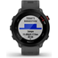 Juoksu-älykello Garmin Forerunner 55 Grey