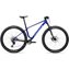 Cobalt Blue/Carbon Raw