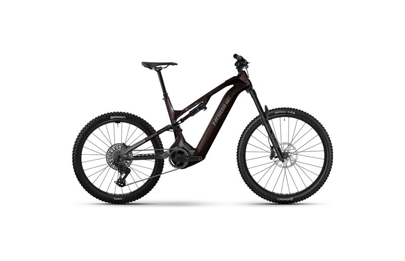 El MTB Haibike ALLMTN CF 9 Black/Platinum