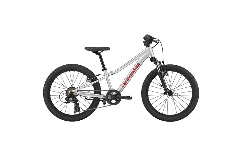 Lasten polkupyörä Cannondale Kids Trail 20 Silver