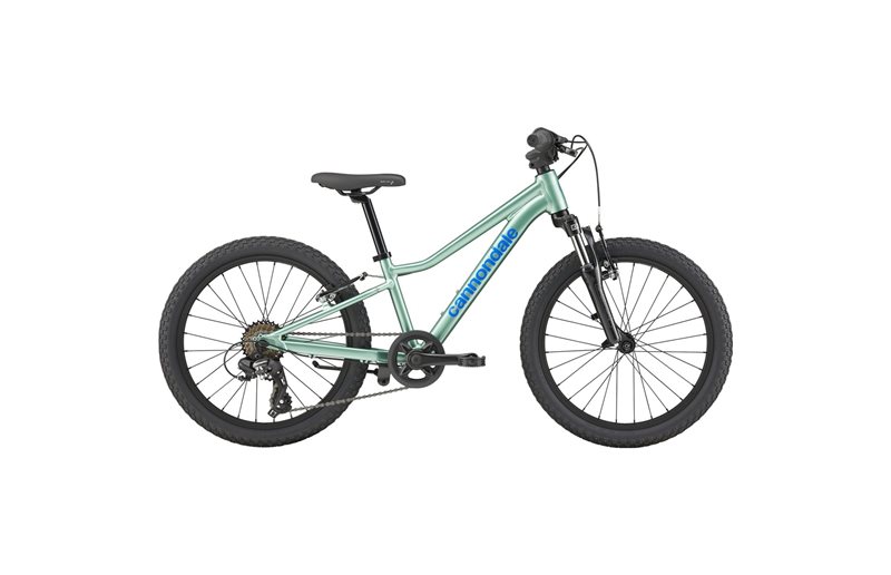 Lasten polkupyörä Cannondale Kids Trail 20 Cactus Green