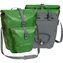 Parrot Green