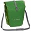 Parrot Green