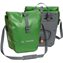 Parrot Green