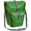 Parrot Green