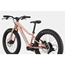 Lasten polkupyörä Cannondale Kids Trail Plus Salmon