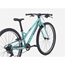 Barnesykkel Trek Wahoo 26 Path Blue Sage