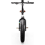 Elcykel RAWBIKE Classic 250W Jet Black