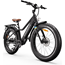 Sähköpyörä RAWBIKE Urban 250W Jet Black