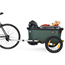Cykelvagn Burley Trailer Hopper Green/Black