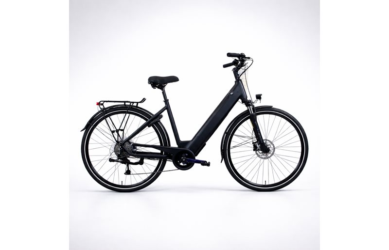 Elcykel Made Flow Dam Black