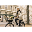 Elcykel Ecoride Ambassador 4 Hub Fotbroms Vit