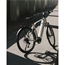 Sähköpyörä Ecoride Tripper 4 Mid Valkoinen