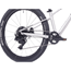 Barnesykkel Superior TEAM 24 Gloss Brushed Alu/Rainbow Black