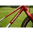 Barnesykkel Superior TEAM 20 Gloss Brushed Alu/Red