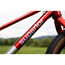 Barnesykkel Superior TEAM 20 Gloss Brushed Alu/Red